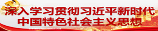 深入学习贯彻习近平新时代中国特...