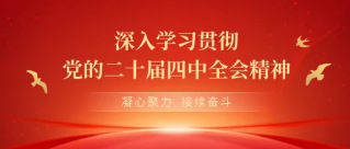 深入学习贯彻党的二十届四中全会...