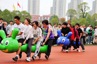 毛毛虫的可爱行军